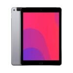 iPad Air 2 9.7 inch Wi-Fi 4G With FaceTime